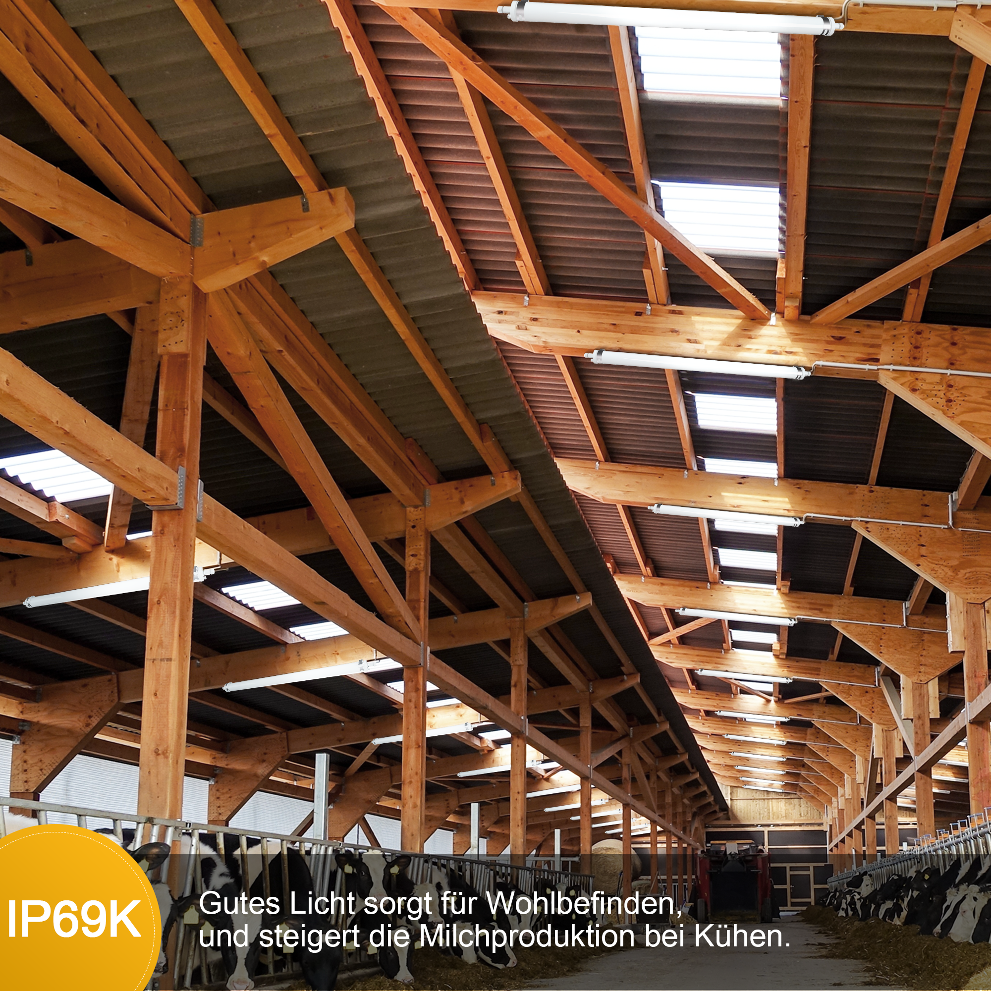 Engel Ewiclo LED-Schutzrohrleuchte – Die perfekte Beleuchtung für anspruchsvolle & ammoniakhaltige Umgebungen