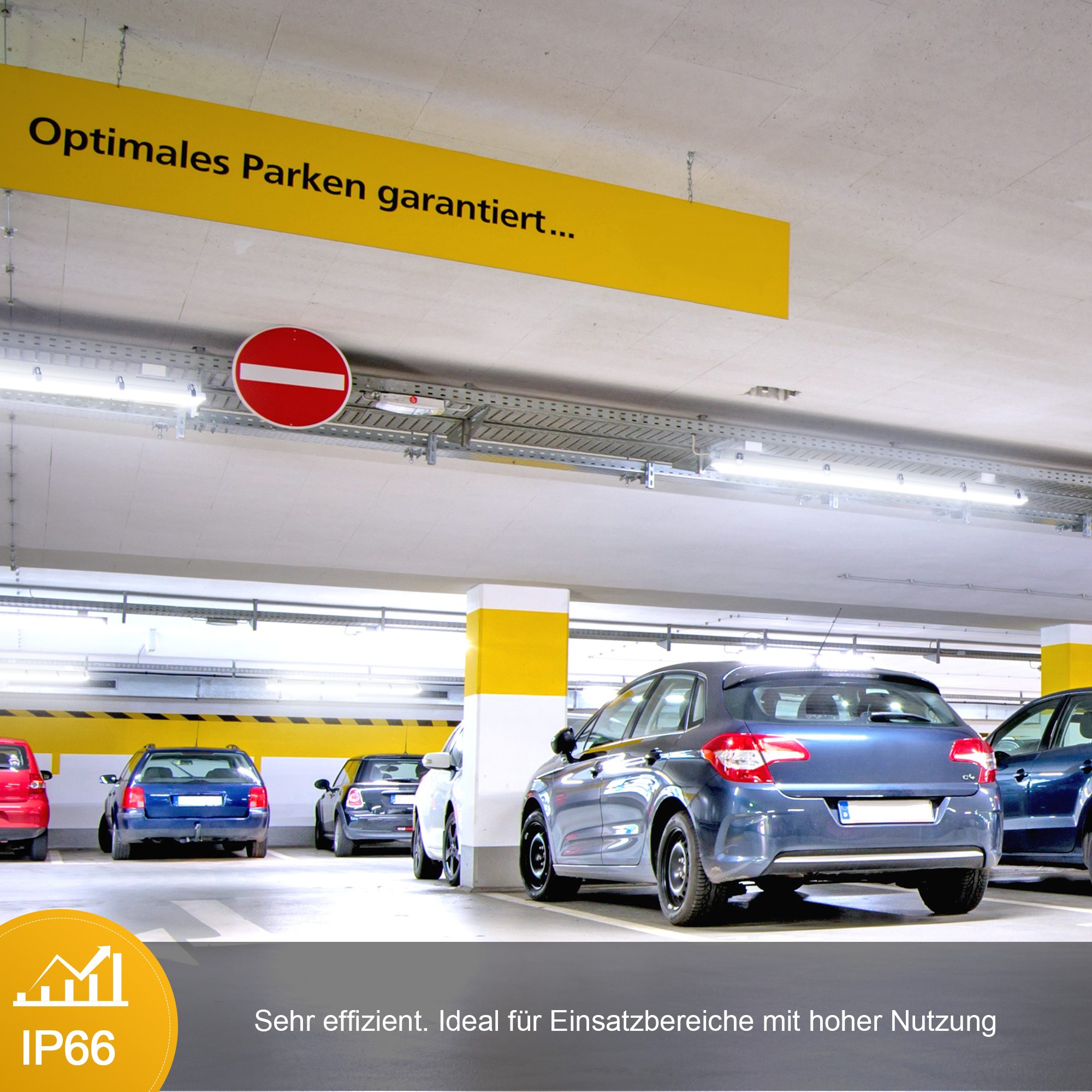 Engel Quinton LED Feuchtraumleuchte 60-150cm IP66 Effizient, Gleichmäßiges Licht mit 5 Jahren Garantie