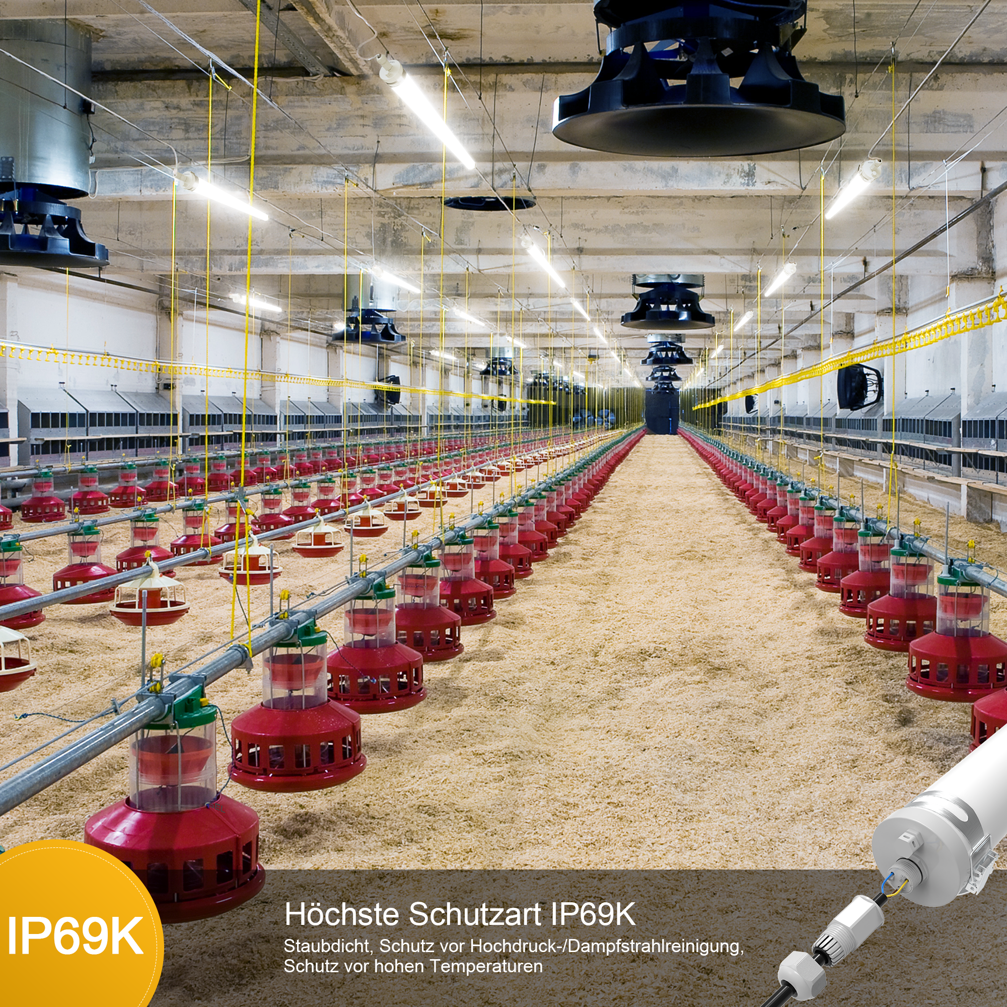 Engel Ewiclo LED-Schutzrohrleuchte – Die perfekte Beleuchtung für anspruchsvolle & ammoniakhaltige Umgebungen