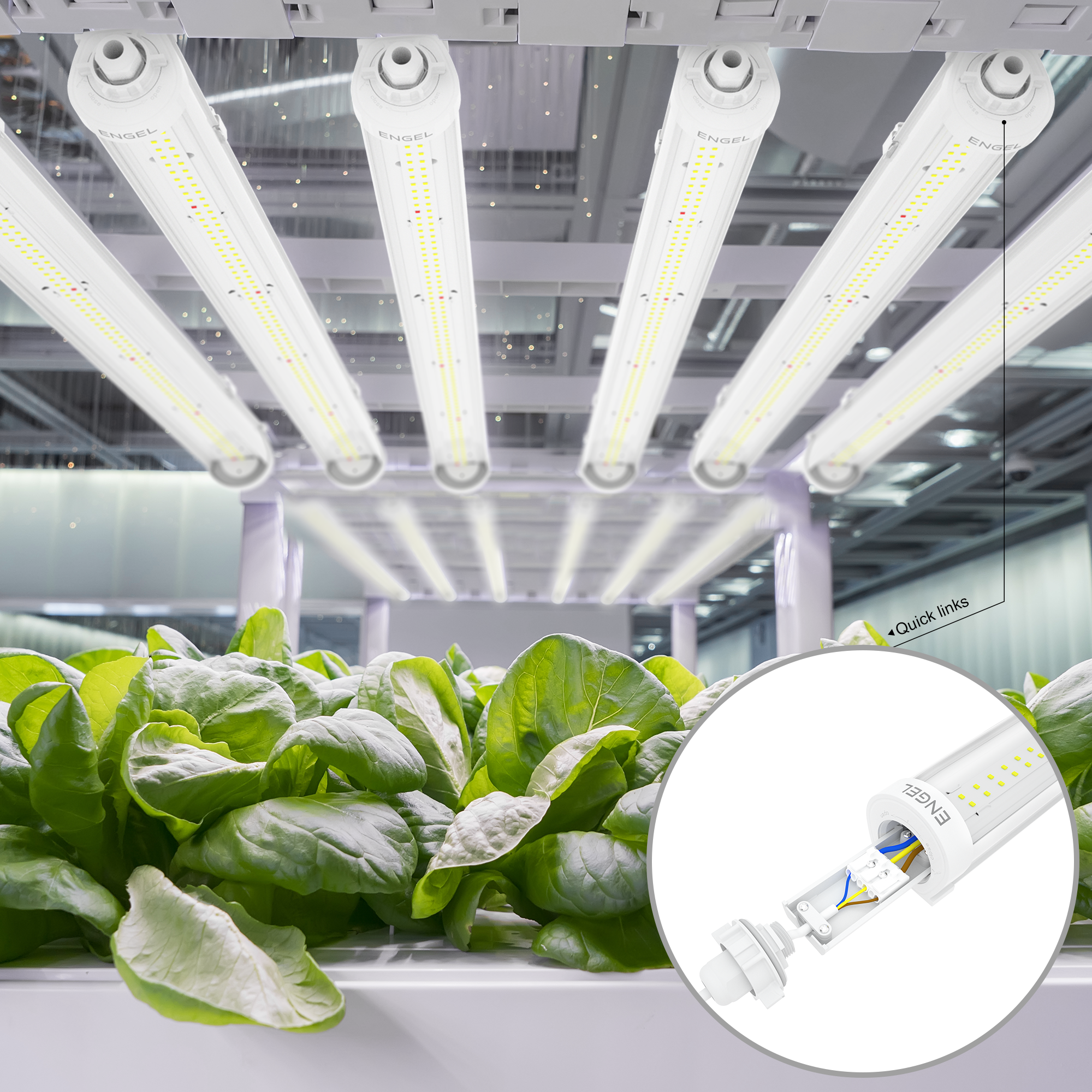 Engel eGrow3 LED Pflanzenleuchte 120cm IP65 Vollspektrum + Rot Anteil Für alle Pflanzen Fördert Blütenwachstum Beleuchtung für CC-Container Jungpflanzen Cannabis