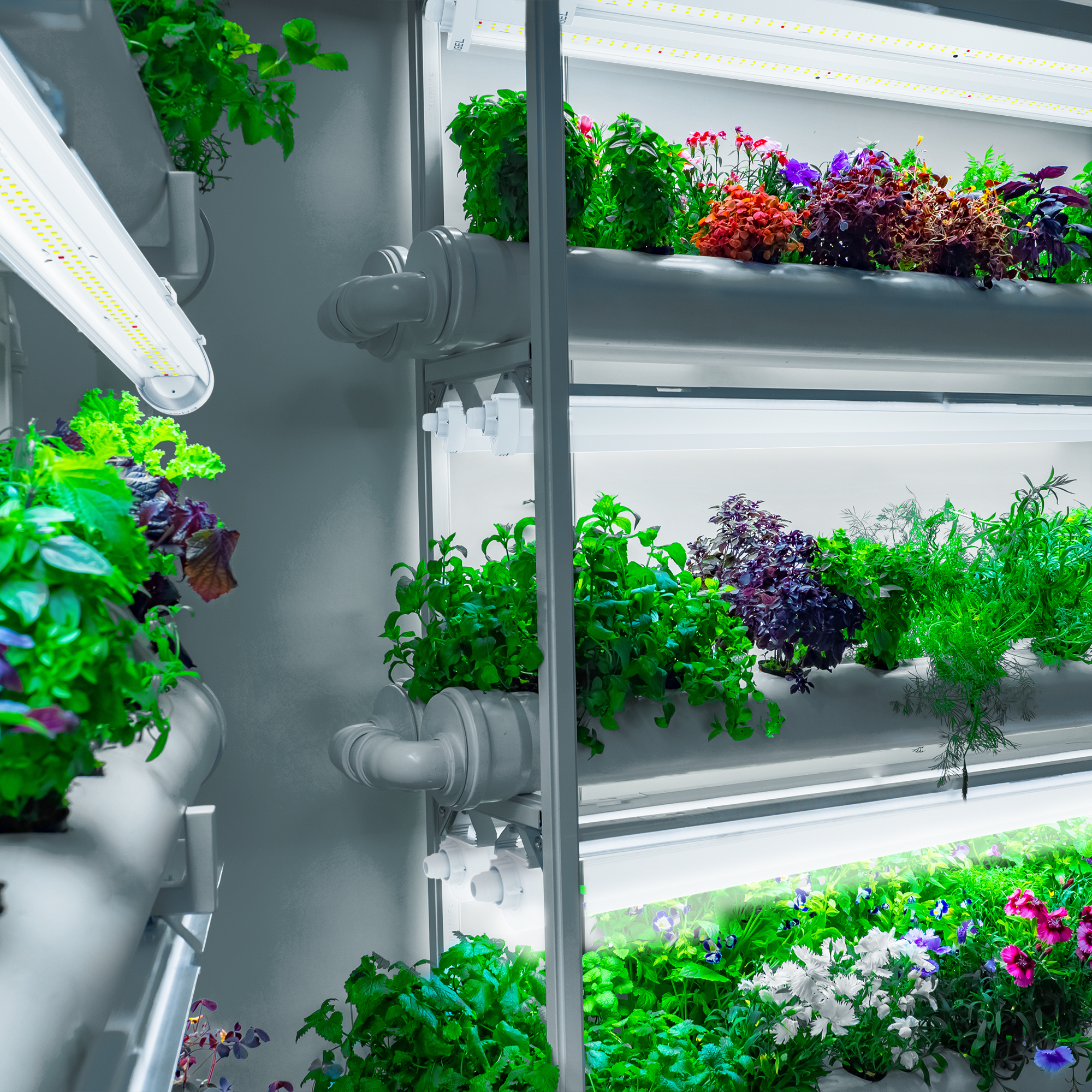 Engel eGrow 3 – Leistungsstarke Vollspektrum-Gartenbauleuchte