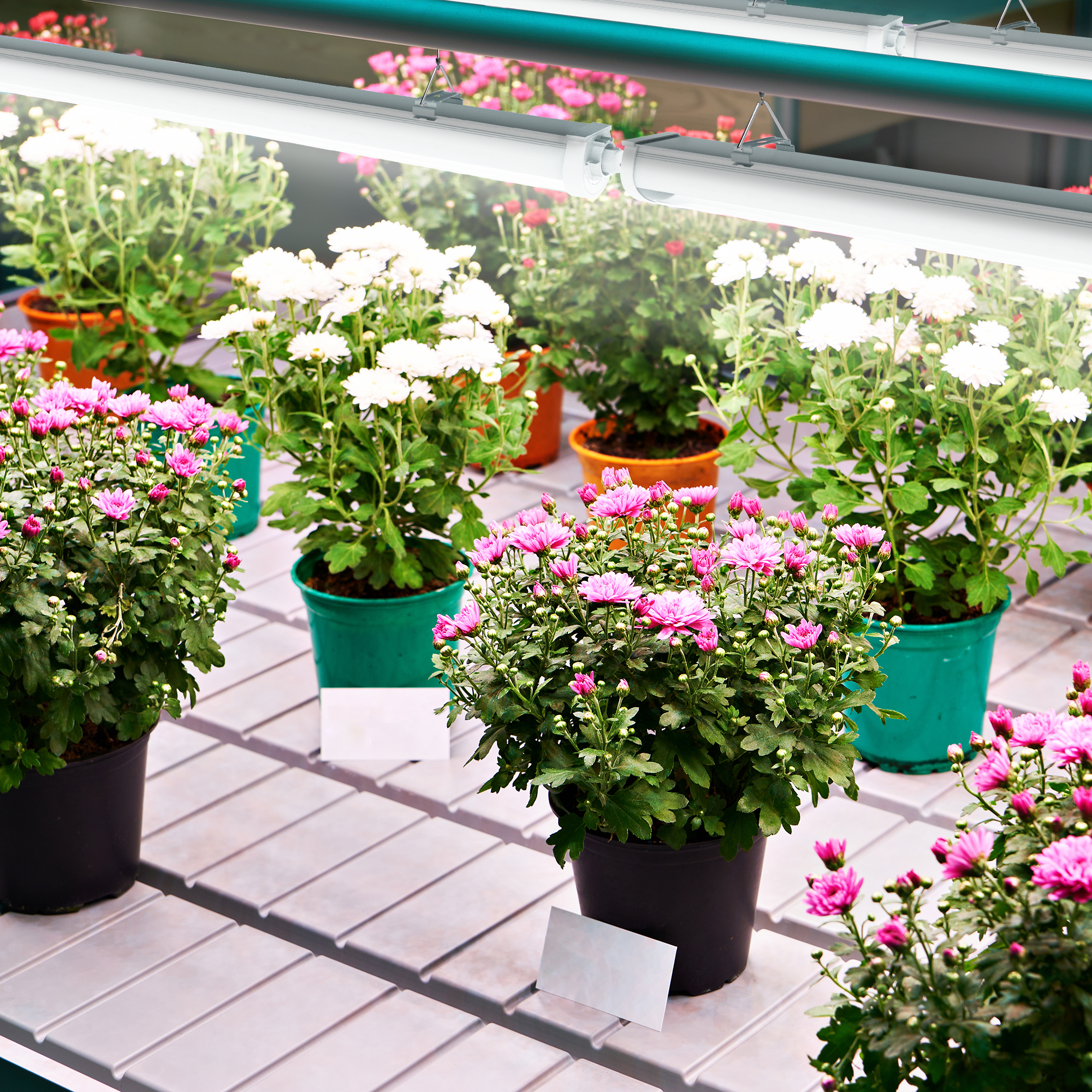 Engel eGrow 3 – Leistungsstarke Vollspektrum-Gartenbauleuchte