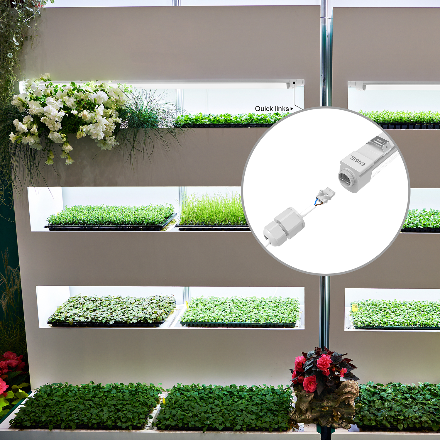 Engel eGrow1 LED Pflanzenleuchte 120cm IP65 Vollspektrum Für alle Pflanzen Reihenschaltung Beleuchtung für CC-Container Jungpflanzen Cannabis