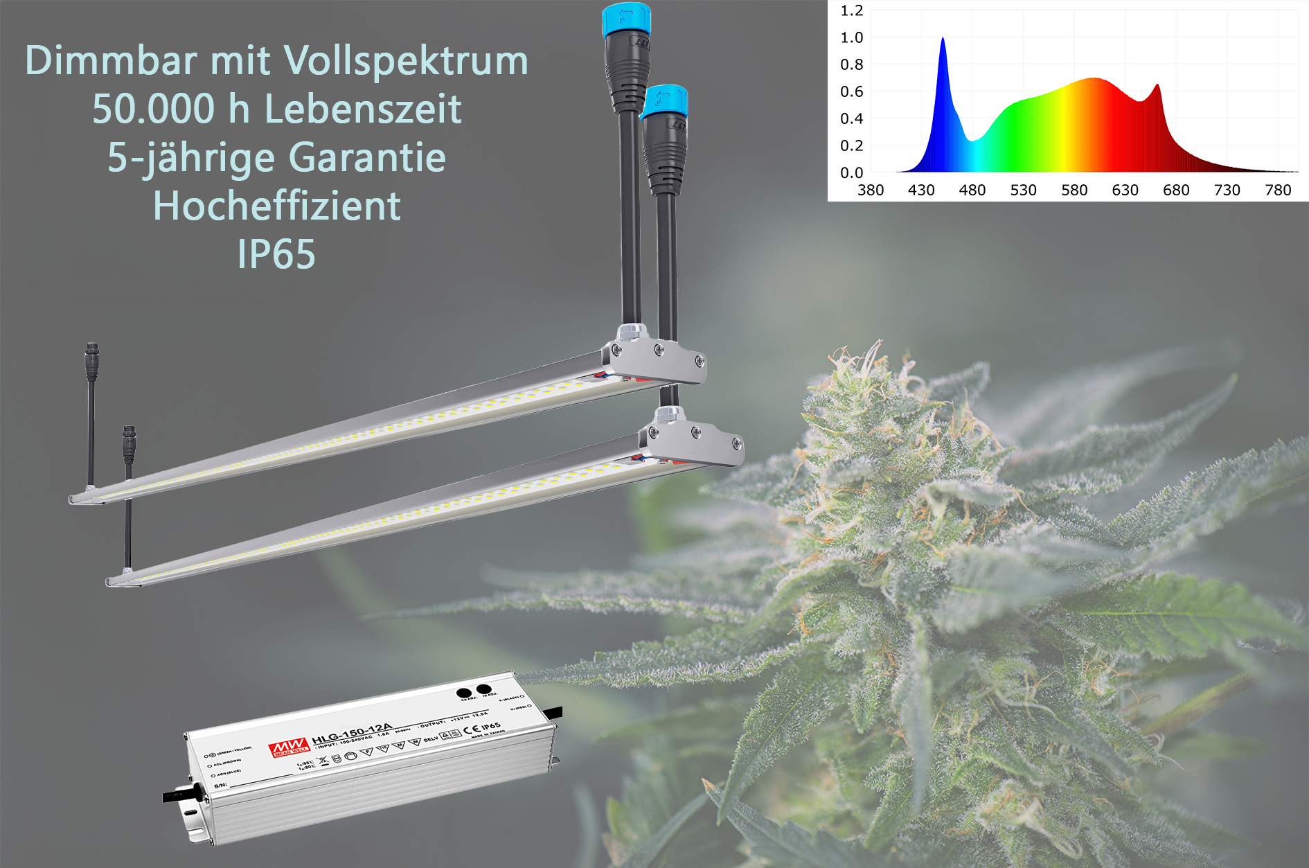 Hanflampen 2er Set - Flora LED Pflanzenleuchte für Cannabispflanzen Dimmbar für Blattwachstum und Blütenwachstum aus Aluminium IP65