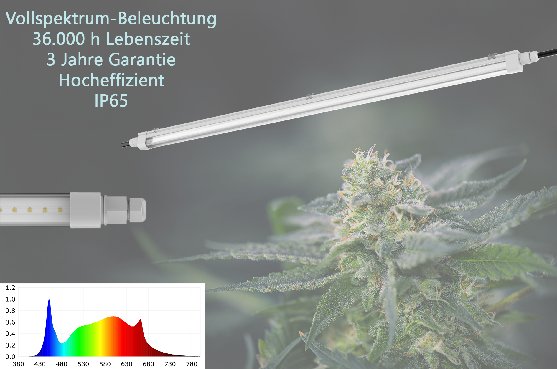 Engel eGrow 1 – Effiziente LED-Wachstumsleuchte für optimales Pflanzenwachstum