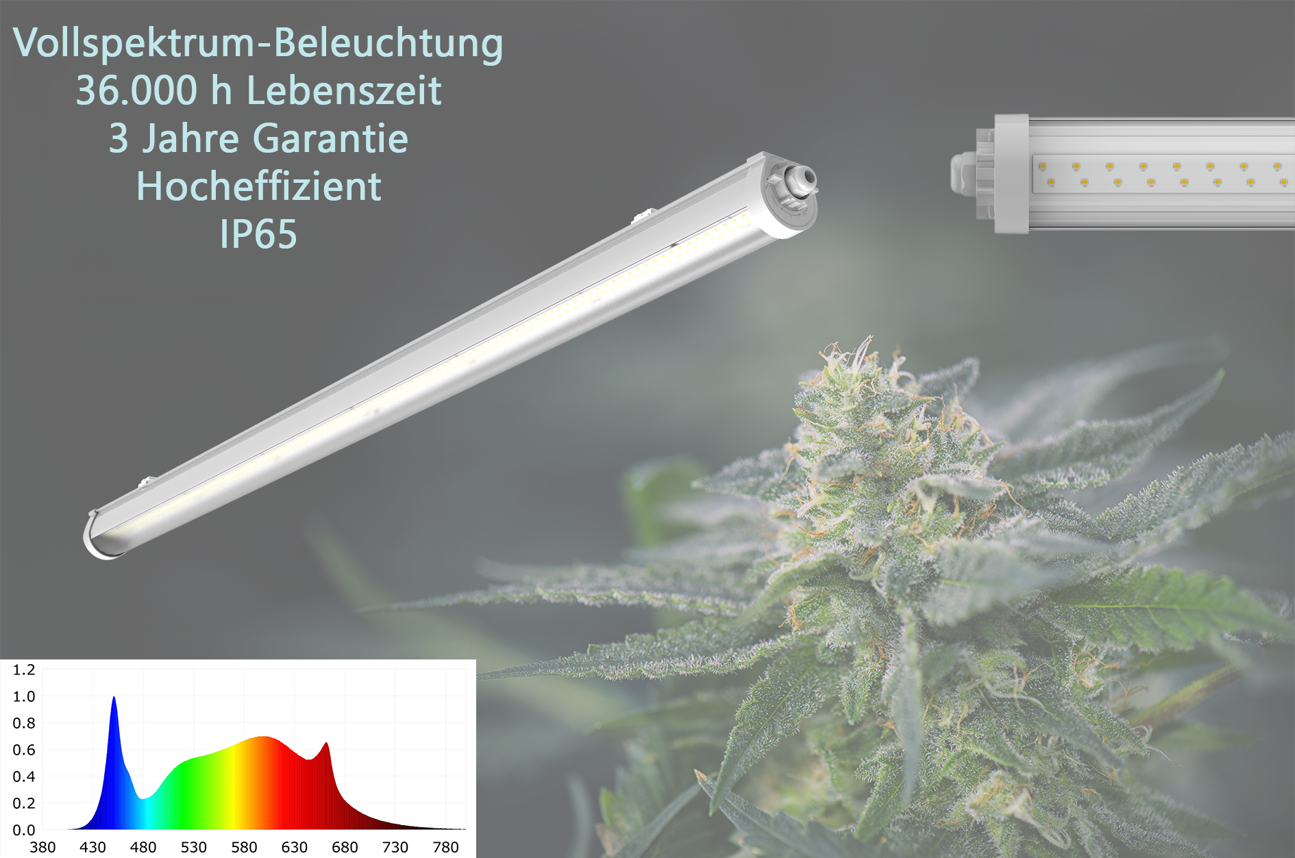Engel eGrow3 LED Pflanzenleuchte 120cm IP65 Vollspektrum + Rot Anteil Für alle Pflanzen Fördert Blütenwachstum Beleuchtung für CC-Container Jungpflanzen Cannabis