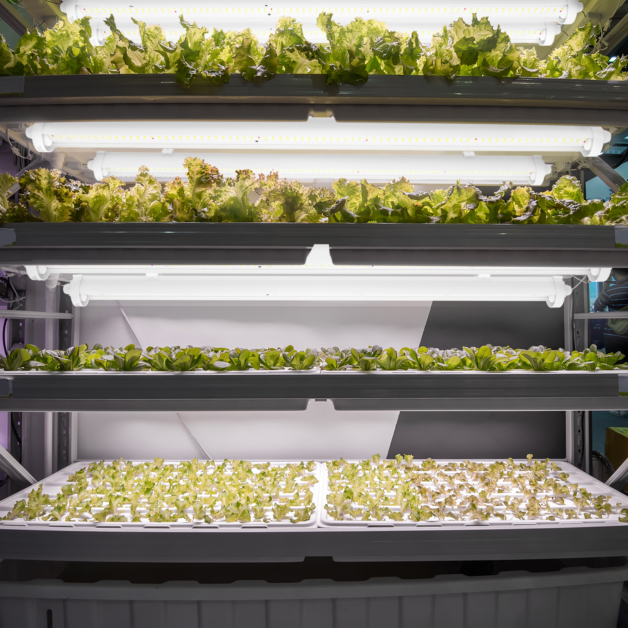 Engel eGrow 3 – Leistungsstarke Vollspektrum-Gartenbauleuchte