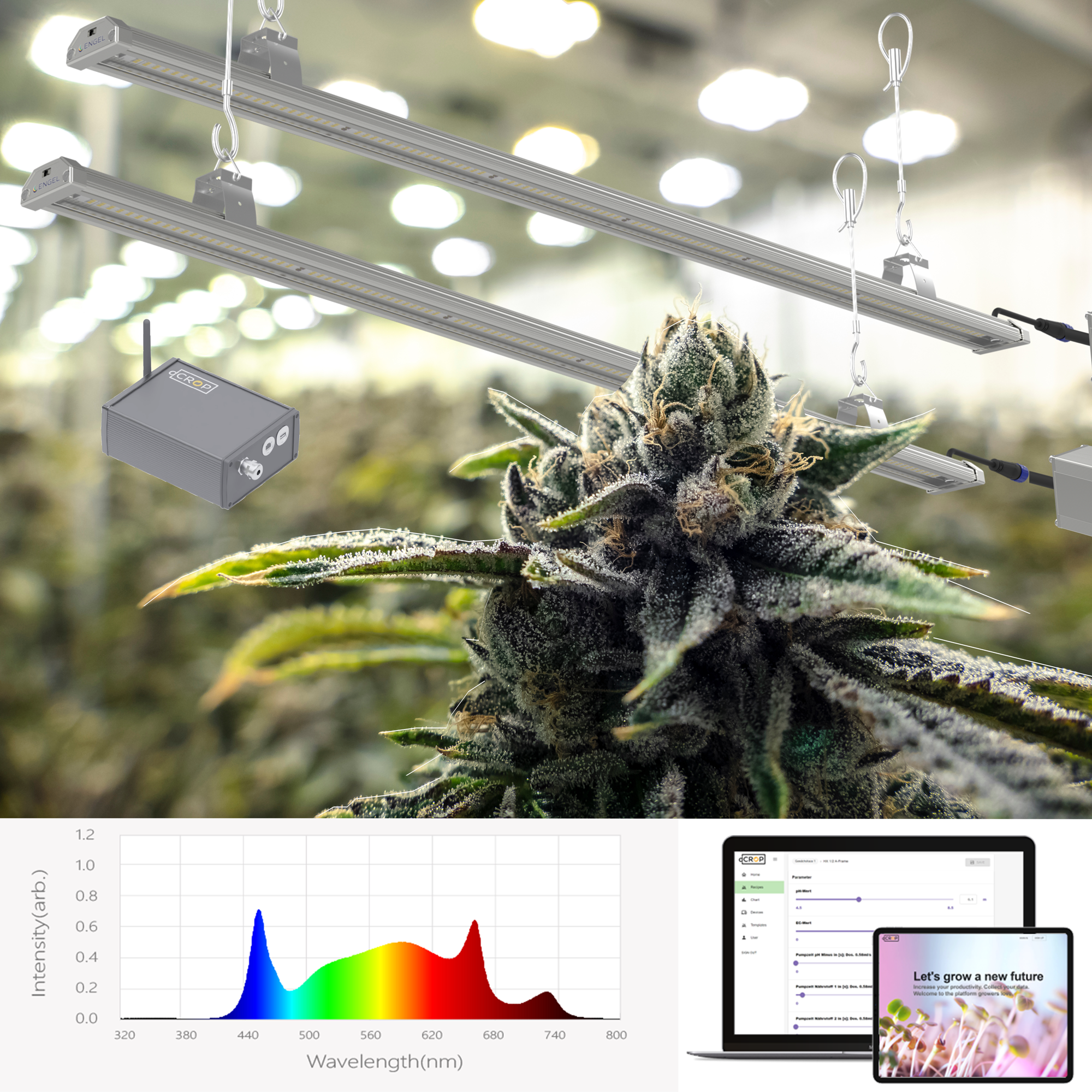 Hanf Lampen 2er Set – LED-Beleuchtung für Cannabispflanzen, Pflanzen- und Gemüsezucht Dimmbar mit Steuerungssoftware